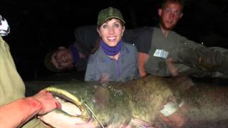 Battle of the Beast: Giant Wels Catfish - Game & Fish