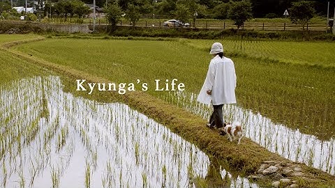 퇴사, 첫 사업, 시골살이 🕊모든걸 바꾸고 알게 된 것들 | 새로운 시작이 두려운 당신에게