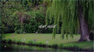 By the Willow Pond 🦆 | Soft Piano Music for Study, Reading & Quiet Afternoons