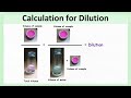 Calculations for dilution