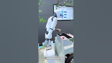 AI Humanoid Harvesting Robot | Redefining Smart Agriculture with 3D Vision