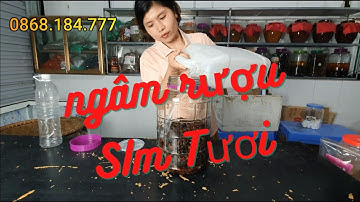 Cách Ngâm Rượu Sim Tươi