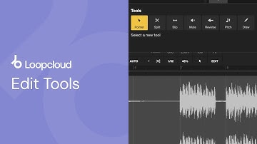 Edit Tools | Loopcloud 101