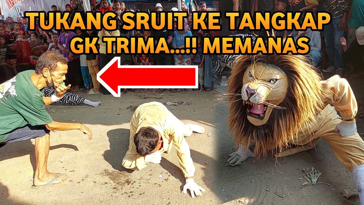 Macan Ngamuk Vs Tukang Sruit Bantengan Putro Browijoyo Memanas Hampir Terjadi Live jombang
