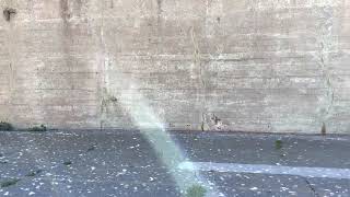The Recreation Yard - Alcatraz