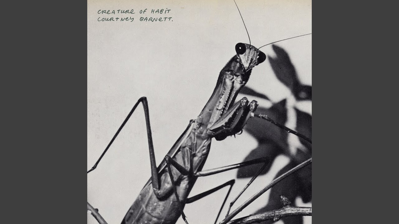 Mantis