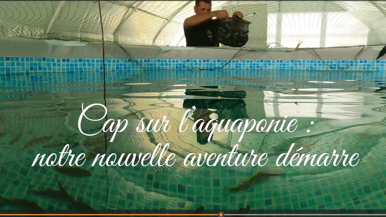 ⁣Cap sur L'aquaponie, notre aventure démarre