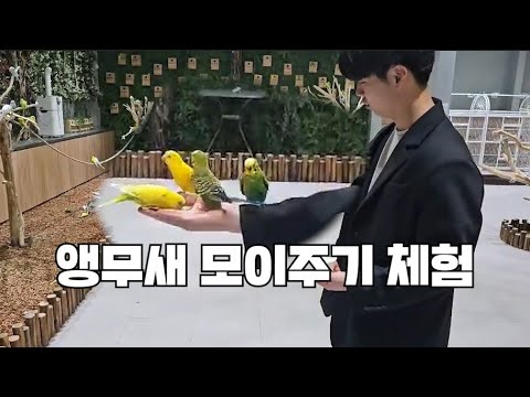 청주 증평 블랙스톤 벨포레 목장에서 앵무새 모이주기 체험