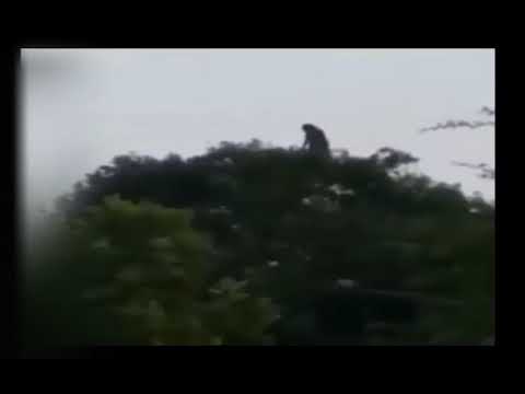 top 5 scary footage