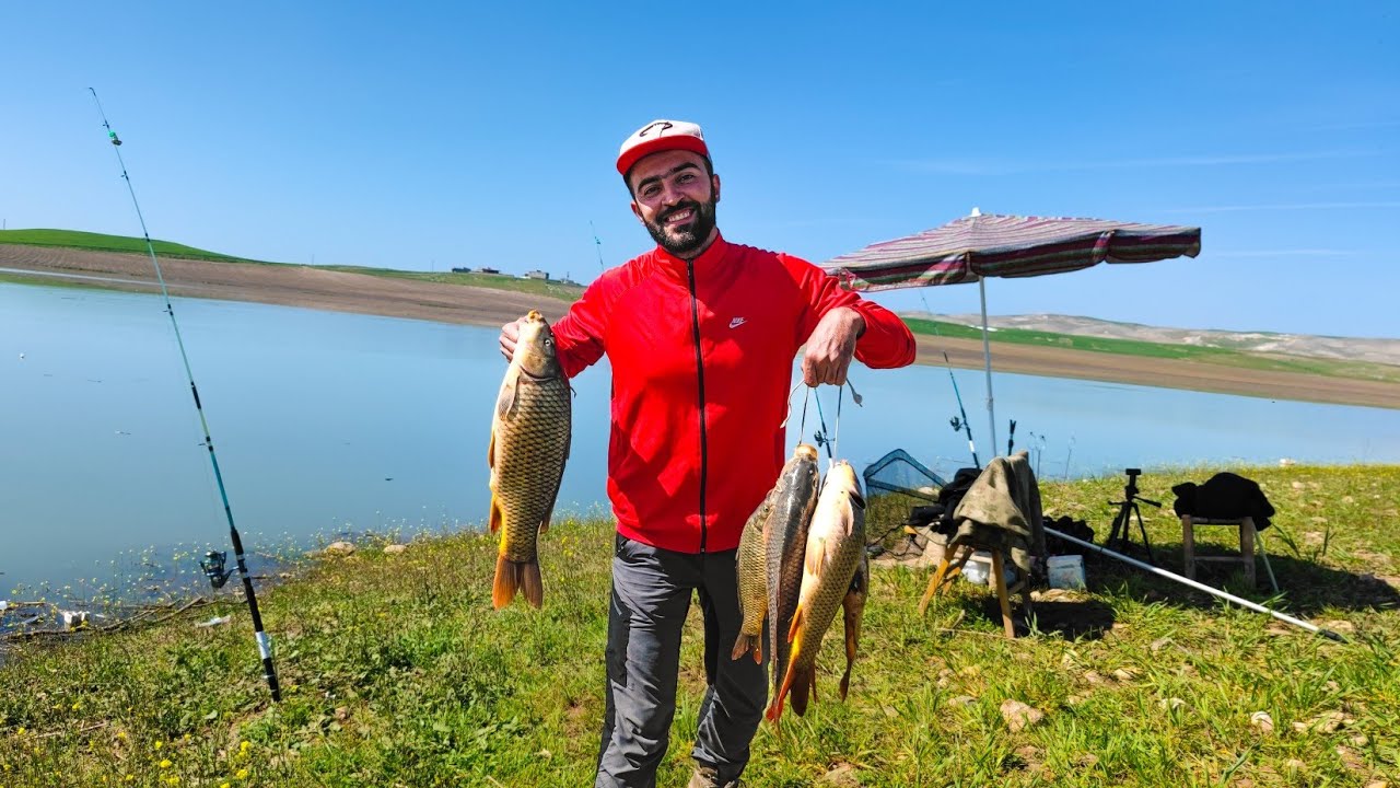صيد أسماك الكارب في تركيا 🎣 اصطدنا كمية كبيرة من الأسماك 🐟