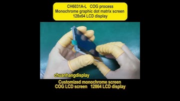 This is a 12864 dot matrix COG LCD screen with backlight