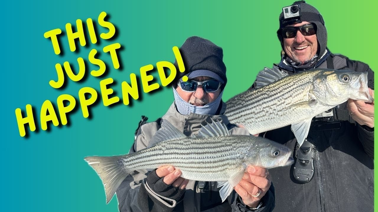 Fishing •Live Bait• for EPIC Results! #fishing
