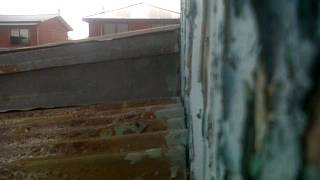 Vid 00274 20170301 15433