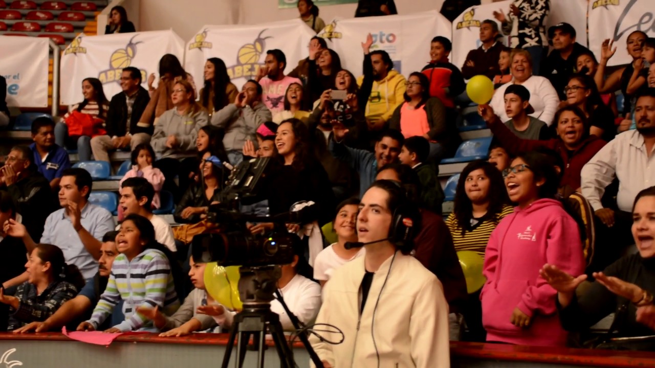 abejas YouTube