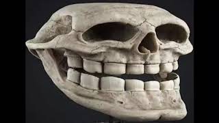 Geometry Dash Sound Effect