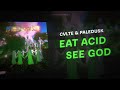 CVLTE &amp; Paledusk - eat acid, see god.