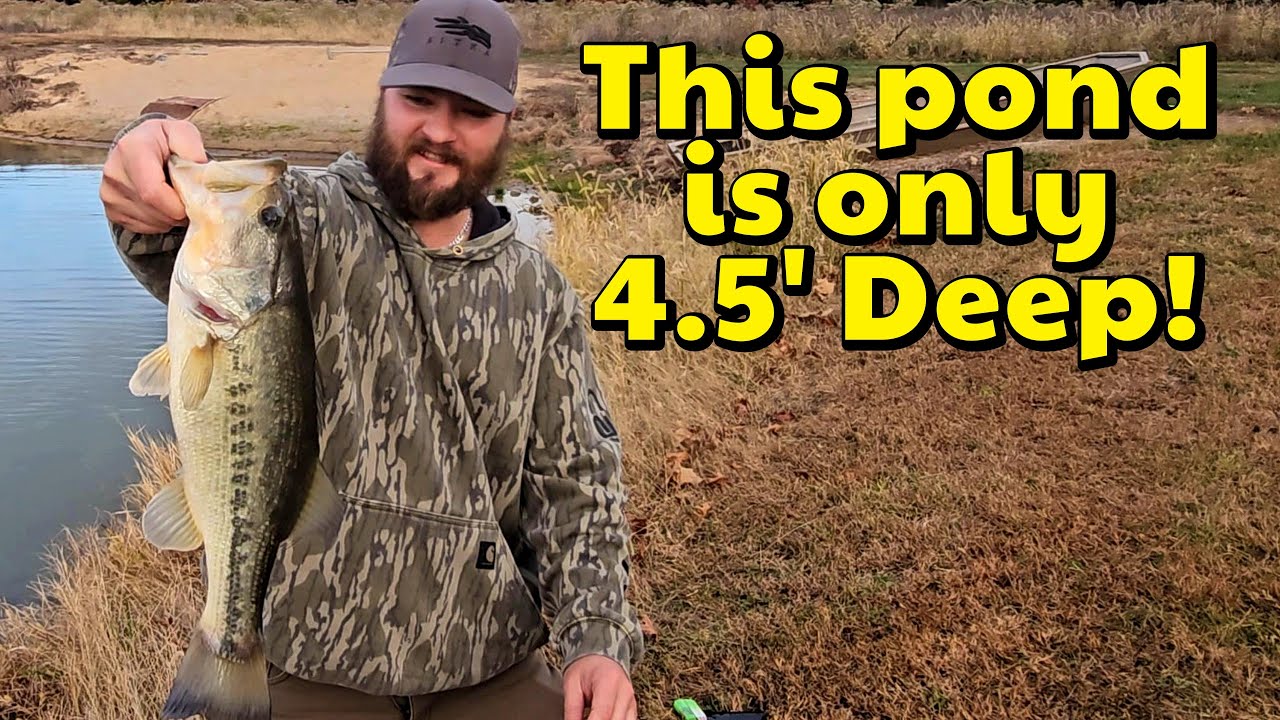 The SECRET to Catching Big Bass in a Small Pond During Winter