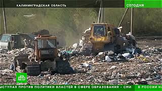 Зеленый Фронт НТВ полигон Барсуковка (Советск) 24-04-2024