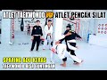 Sparing Keras, Atlet Taekwondo vs Atlet Pencak Silat, Seru Semua Bagus