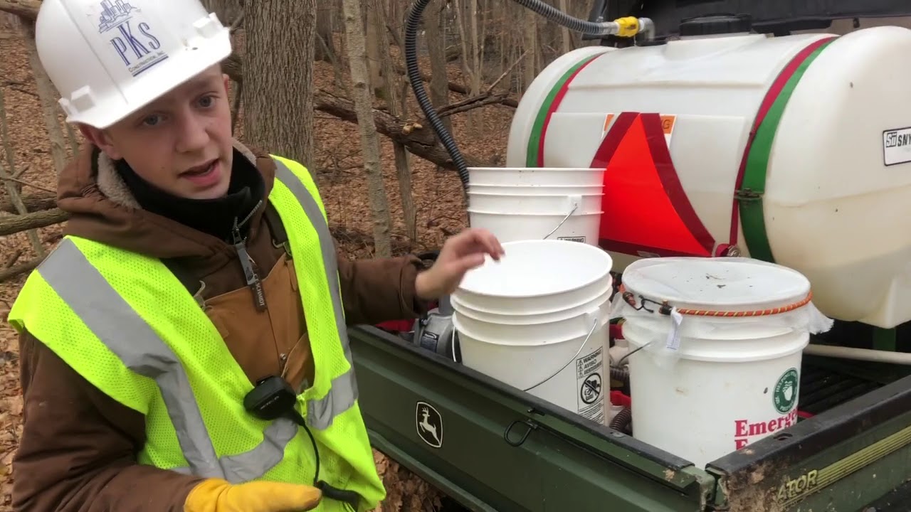 The Maple Syrup Movie YouTube