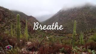 Breathe // Sabino Canyon Tucson AZ