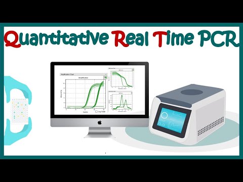 Vidéo: La Pré-amplification De L'ARN Permet Des études à Grande échelle De L'expression Des Gènes RT-qPCR Sur La Limitation Des Quantités D'échantillons