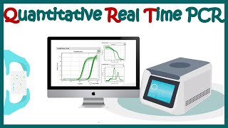 Quantitative real time PCR (qPCR)