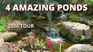Backyard Pond Ideas | Tour 4 Beautiful Midwest Water Gardens (2026)