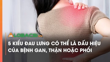5 kiểu đau lưng có thể là dấu hiệu của bệnh gan, thận hoặc phổi | Video AloBacsi