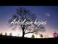 Árbol sin hojas - Dread Mar I (Letra)