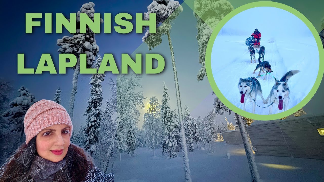 Polar nights in Finnish Lapland (dog sled & snowmobile in Levi and Northern Lights Ranch)