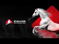 Stallion Integrated