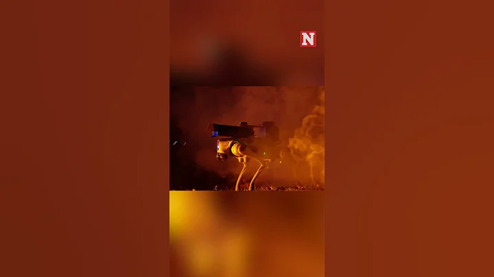 A Flame-Throwing Robot Dog Has Hit The US Market