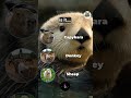 Guess That Animal Sound! Family Car Game 🚗 Can You Beat Your Score?