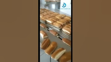 Automatic bread horizontal bag form fill seal packaging machine packing video