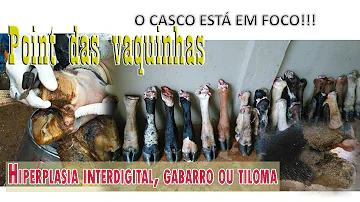 O que causa o gabarro?