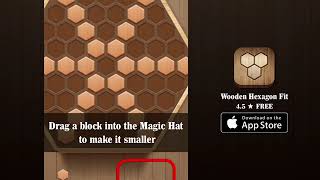 Wooden Hexagon Fit Landscape 20s screenshot 5