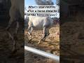 What do you do with your horse after they finish a show? #horsecommunity #englishriding #showjumping