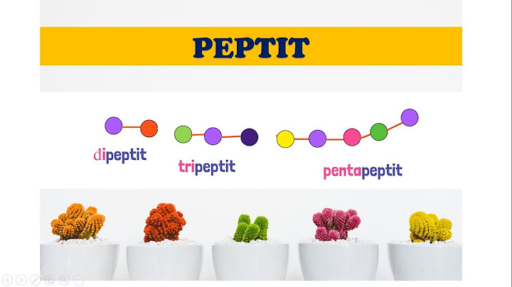 Liên kết peptit có thể tìm thấy trong chất nào năm 2024