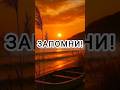 Цитата.Бумеранг всегда возращается.