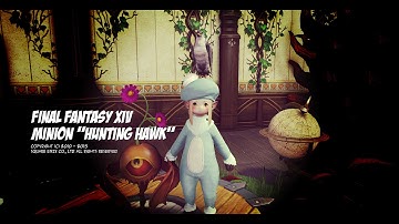 FFXIV minion video "Hunting hawk"