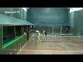 Hampton Cup Final 2015