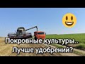 Результат применения покровных культур 2020