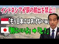 【海外の反応】「もう輸出してあげない!」インドネシア政府が日本が最大の輸出先だった銅の輸出を2023年からやめると発表するも…【アメージングJAPAN】