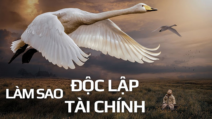 Đánh giá mức độ độc lập tài chính năm 2024