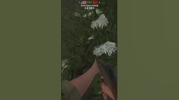 When you go behind enemy lines #armareforger  #gaming