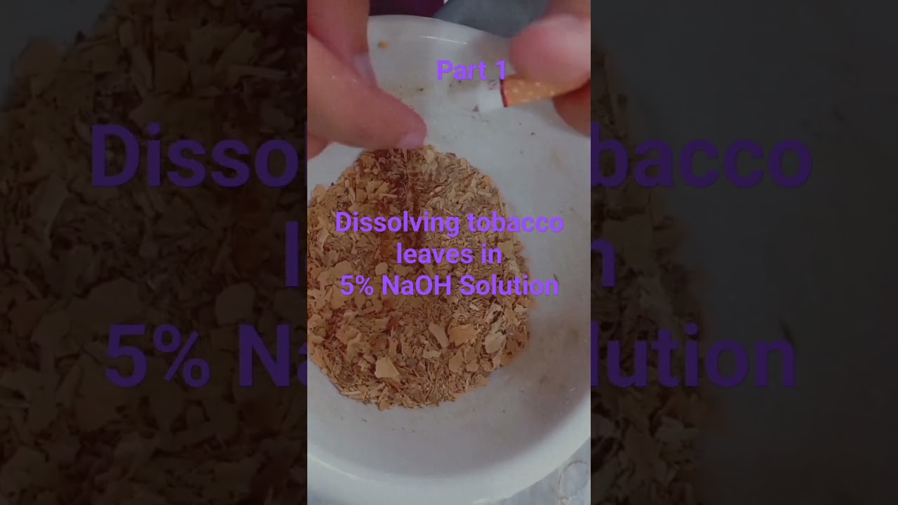 Extraction of Nicotine from tobacco 🚬