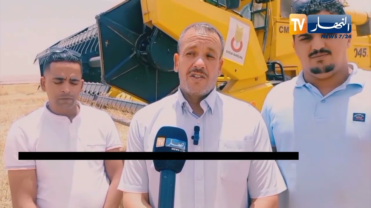 الجلفة / توقعات بانتاج يفوق 50 قنطار في الهكتار من الحبوب