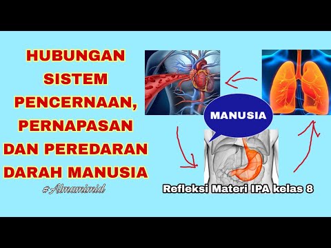 Video: Apakah sistem peredaran darah mengangkut pembawa pesan kimiawi?