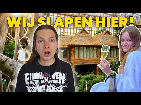 SLAPEN in het NIEUWE EDENYA… TUSSEN de APEN! | Pairi Daiza